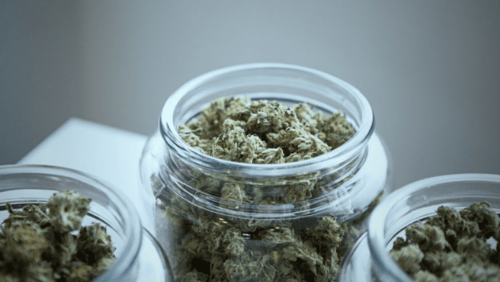 Medical Marijuana Card: How Do You Get One In Fort Lauderdale, FL?